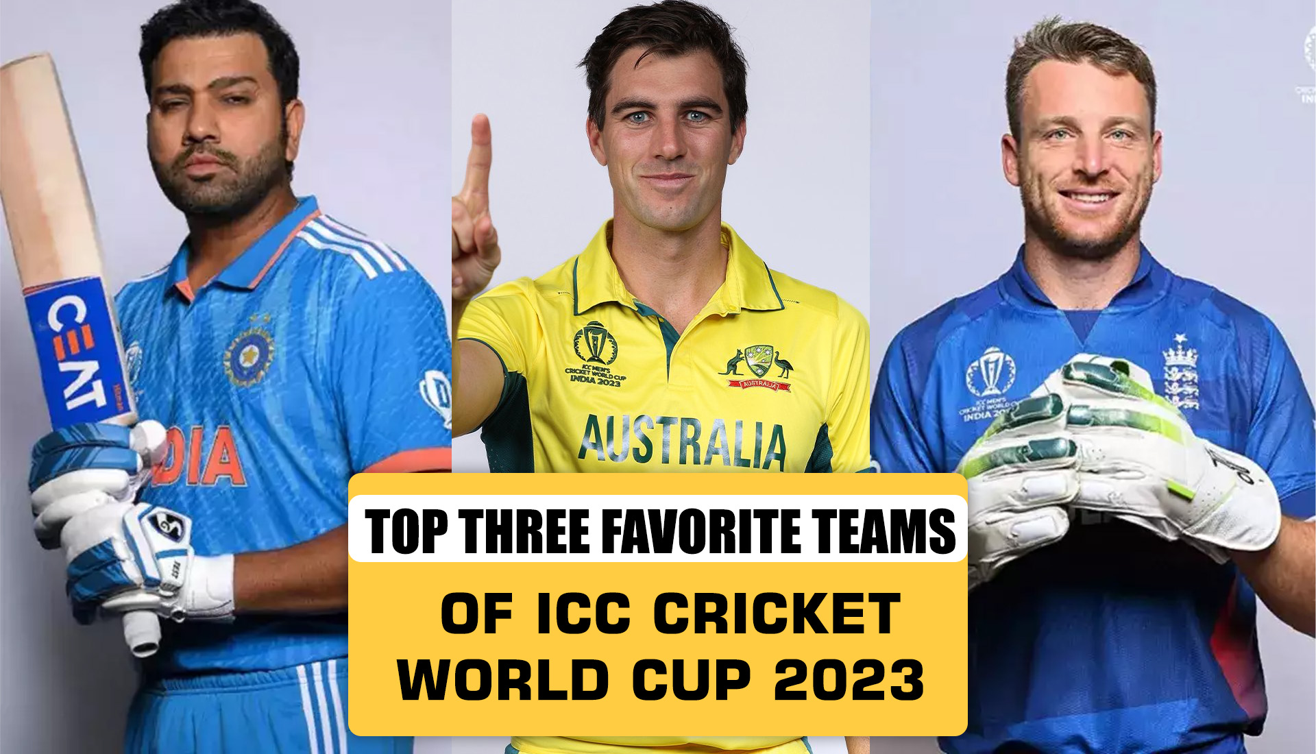 Favorite Teams of ICC